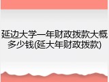延边大学一年财政拨款大概多少钱(延大年财政拨款)