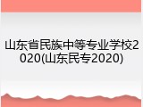 山东省民族中等专业学校2020(山东民专2020)
