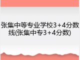 张集中等专业学校3+4分数线(张集中专3+4分数)