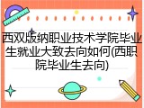 西双版纳职业技术学院毕业生就业大致去向如何(西职院毕业生去向)