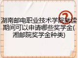 湖南邮电职业技术学院就读期间可以申请哪些奖学金(湘邮院奖学金种类)