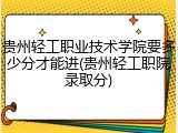 贵州轻工职业技术学院要多少分才能进(贵州轻工职院录取分)