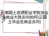 云南国土资源职业学院毕业生就业大致去向如何(云国土毕业生就业去向)