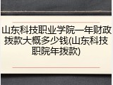 山东科技职业学院一年财政拨款大概多少钱(山东科技职院年拨款)