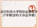 武汉科技大学到毕业要花多少学费(武科大毕业学费)