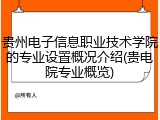 贵州电子信息职业技术学院的专业设置概况介绍(贵电院专业概览)