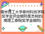 南京理工大学泰州科技学院奖学金评定细则是怎样的(南理工泰院奖学金细则)