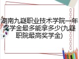 湖南九嶷职业技术学院一年奖学金最多能拿多少(九嶷职院最高奖学金)