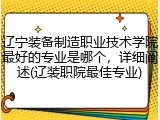 辽宁装备制造职业技术学院最好的专业是哪个，详细阐述(辽装职院最佳专业)