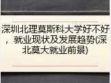 深圳北理莫斯科大学好不好，就业现状及发展趋势(深北莫大就业前景)