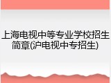 上海电视中等专业学校招生简章(沪电视中专招生)