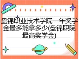 盘锦职业技术学院一年奖学金最多能拿多少(盘锦职院最高奖学金)