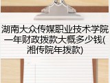 湖南大众传媒职业技术学院一年财政拨款大概多少钱(湘传院年拨款)