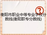 衡阳市职业中等专业学校分数线(衡阳职专分数线)