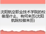 沈阳航空职业技术学院的校徽是什么，有何来历(沈阳航院校徽来历)