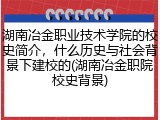 湖南冶金职业技术学院的校史简介，什么历史与社会背景下建校的(湖南冶金职院校史背景)