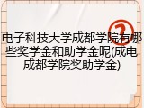 电子科技大学成都学院有哪些奖学金和助学金呢(成电成都学院奖助学金)