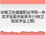 安徽卫生健康职业学院一年奖学金最多能拿多少(皖卫院奖学金上限)