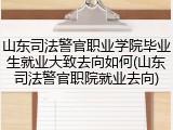 山东司法警官职业学院毕业生就业大致去向如何(山东司法警官职院就业去向)