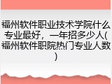 福州软件职业技术学院什么专业最好，一年招多少人(福州软件职院热门专业人数)