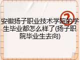 安徽扬子职业技术学院的学生毕业都怎么样了(扬子职院毕业生去向)
