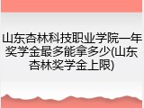 山东杏林科技职业学院一年奖学金最多能拿多少(山东杏林奖学金上限)